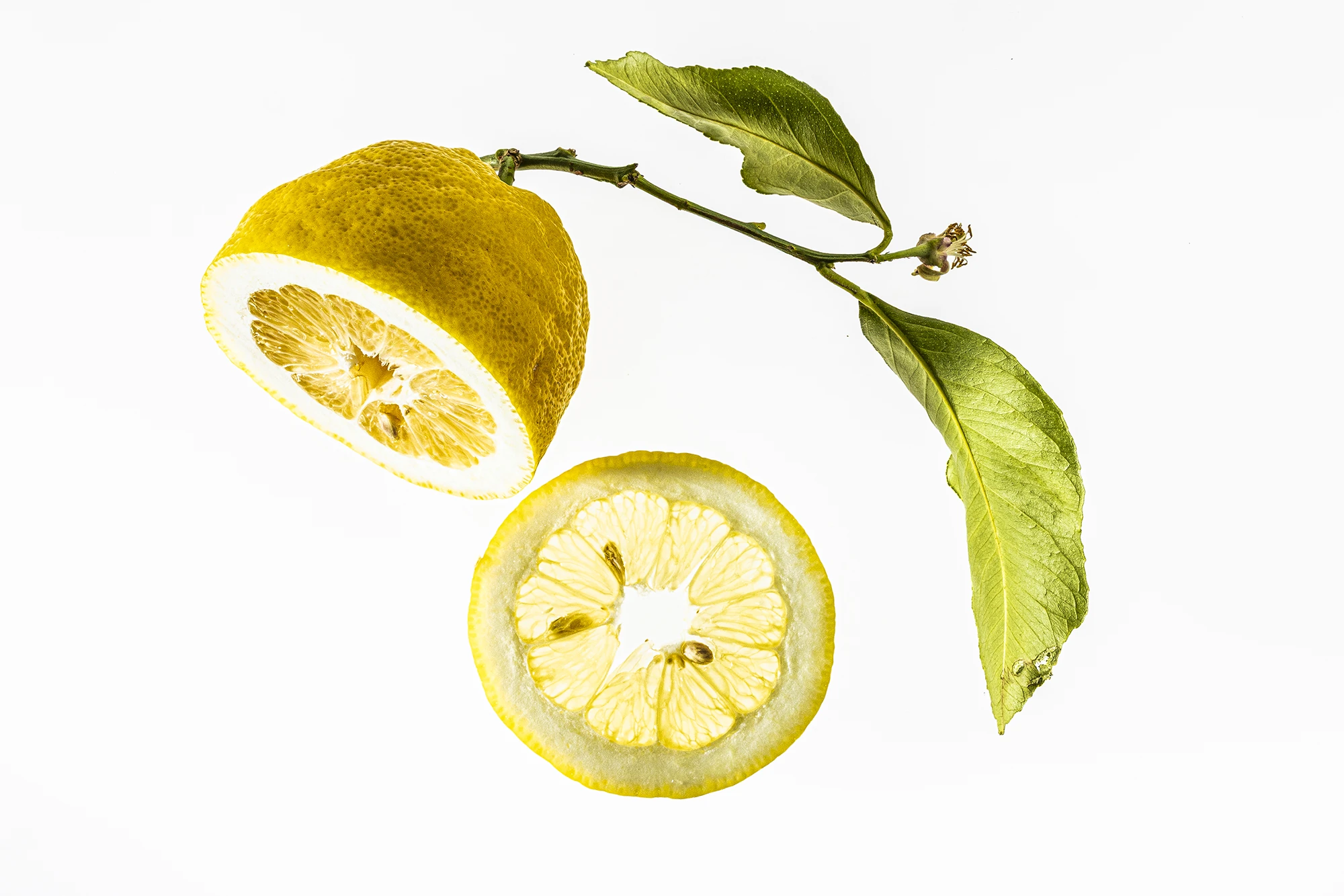 Eine halbe geschnittene Amalfi Zitrone mit grünem Blatt.